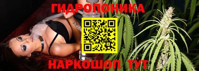 бошки Ливны