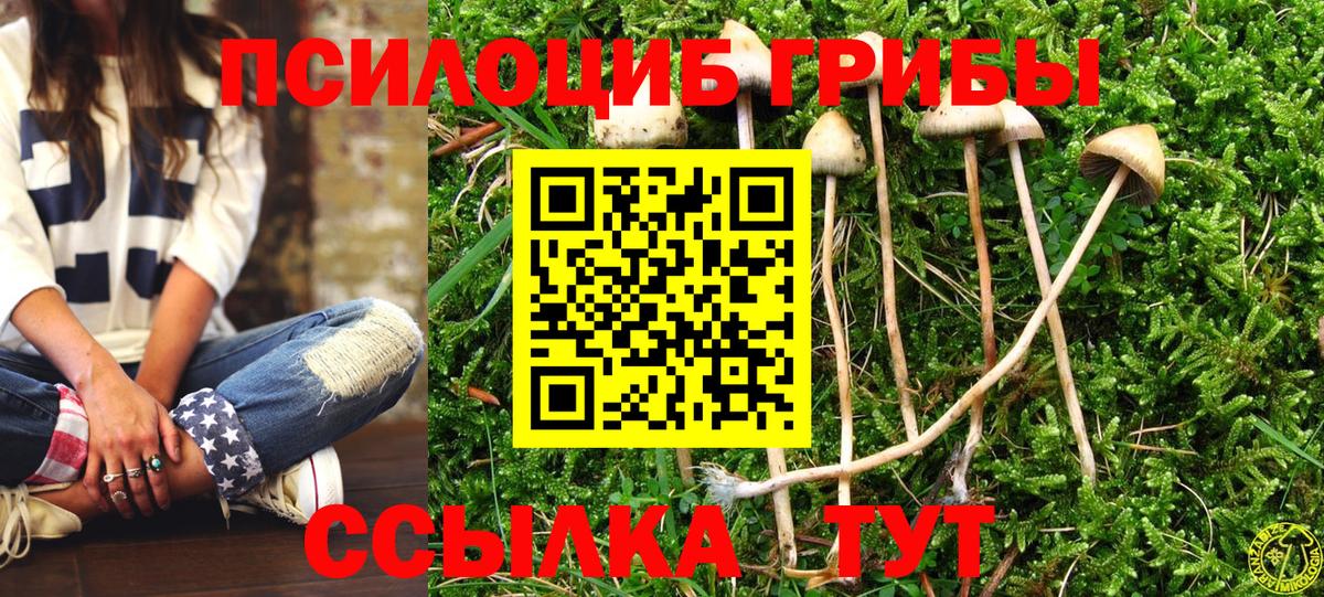 Псилоцибиновые грибы мицелий  Вход с VPN  Псилоцибиновые грибы прущие грибы  Ярцево 